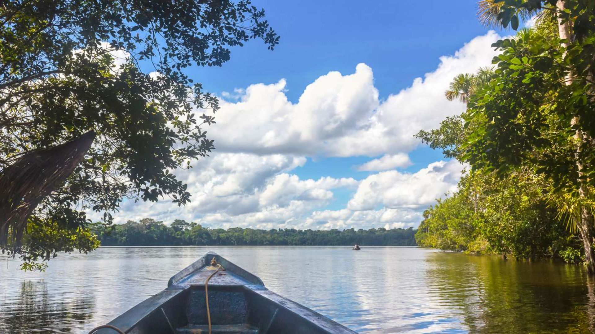 Eco Selva Puerto Maldonado 2 Días 1 Noche