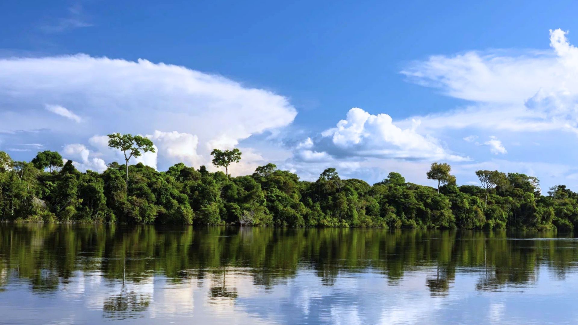 Yanayacu: La Selva de los Espejos 4 Días 3 Noches