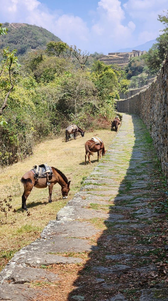 choquequirao trek a machu picchu 4d (6)